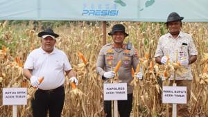 jagung-panen-2809.jpg