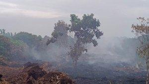 karhutla-di-aceh-barat_06072025.jpg