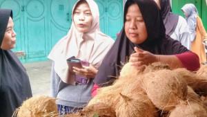 kelapa-98ikl.jpg
