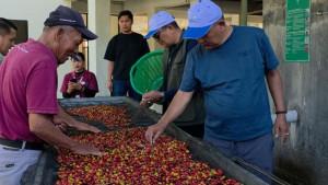 kunker-Irmawan-pelajari-hilirisasi-kopi.jpg