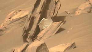 mara-7272.jpg