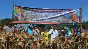 panen-perdana-jagung-di-aceh-besar_.jpg