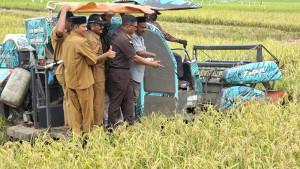 panen-raya-20102025.jpg