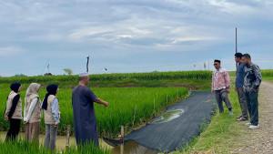 petani-1110.jpg