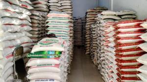 petani-panen-harga-beras-turun-di-Abdya.jpg