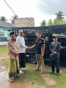 satu-ekor-sapi-sebagai-sedekah-almarhumah-Ummi-Abon-Sofyan-Arongan.jpg