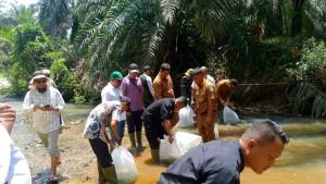 tabur-bibit-ikan_dampak-limbah-sawit_aceh-singkil.jpg