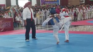 taekwondo-898898.jpg