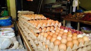 telur-84844.jpg