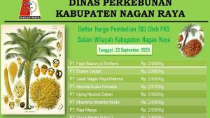 update-harga-TBS-pekan-ini-2309.jpg