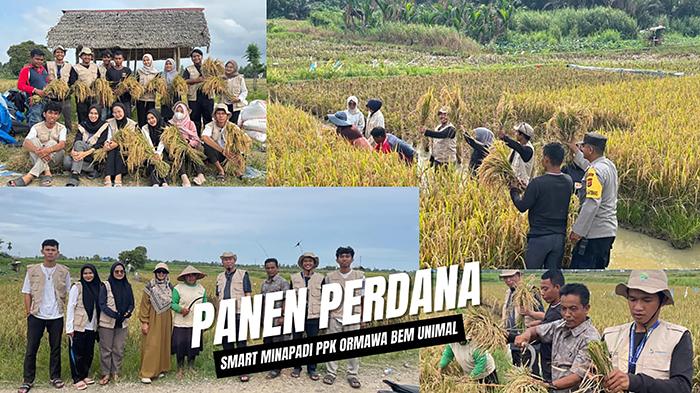 BEM Unimal Catat Keberhasilan Smart Minapadi, Panen Perdana Hasil Melimpah