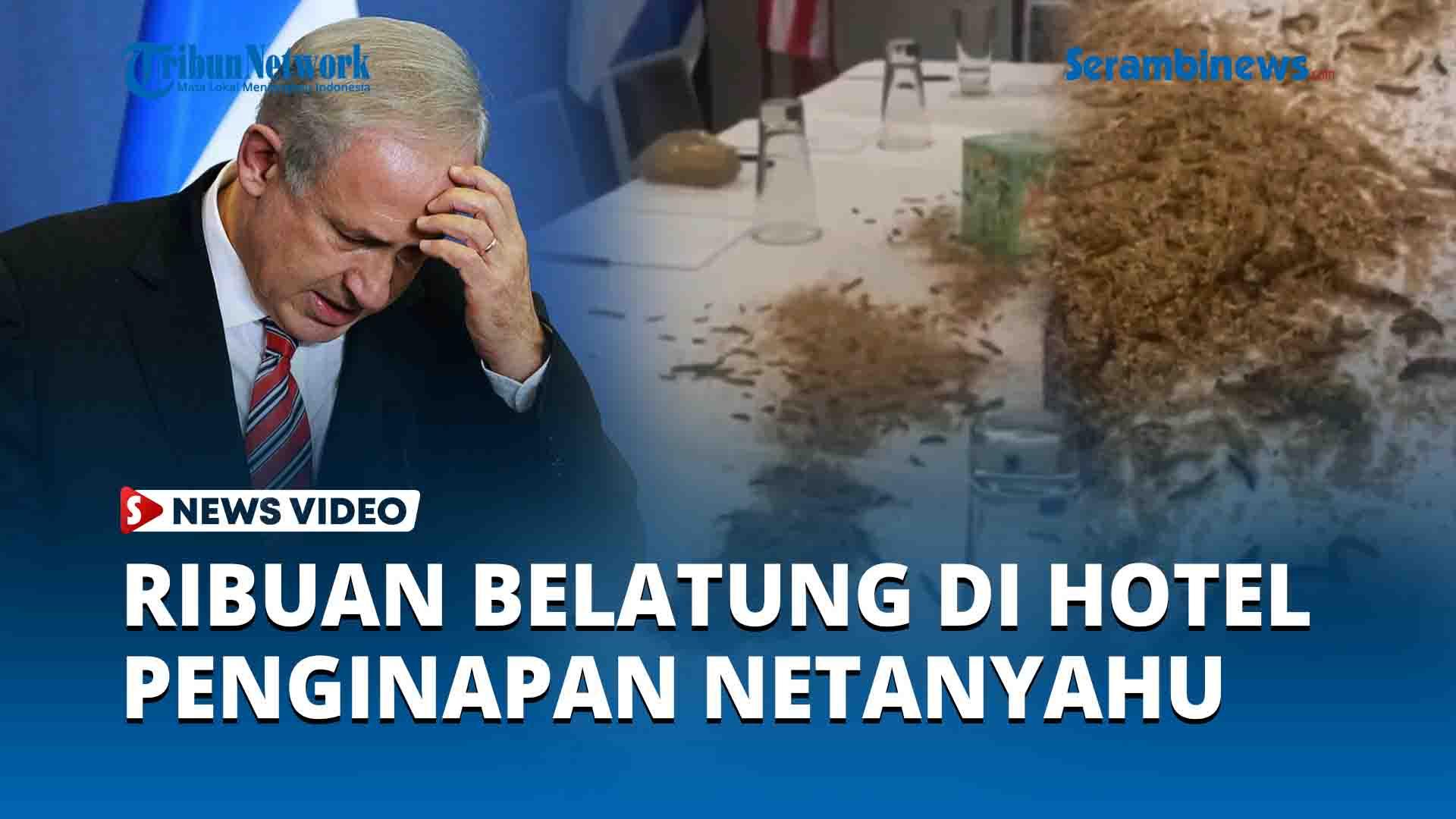 Aktivis-Pro-Palestina-di-AS-Diduga-Sebarkan-Belatung-di-Hotel-Penginapan-Netanyahu.jpg