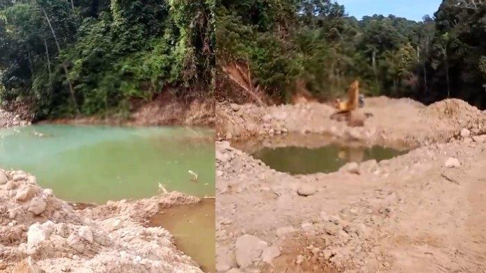 Aktivitas-tambang-emas-ilegal-menggunakan-alat-berat-diduga-milik-WNA-asal-Vietnam.jpg