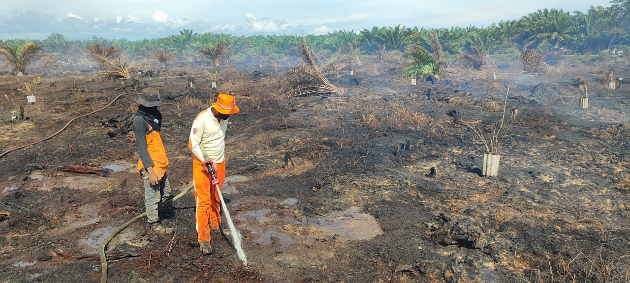 Kebakaran Lahan di Nagan Raya Berhasil Dipadamkan, BPBD Peringatkan Warga