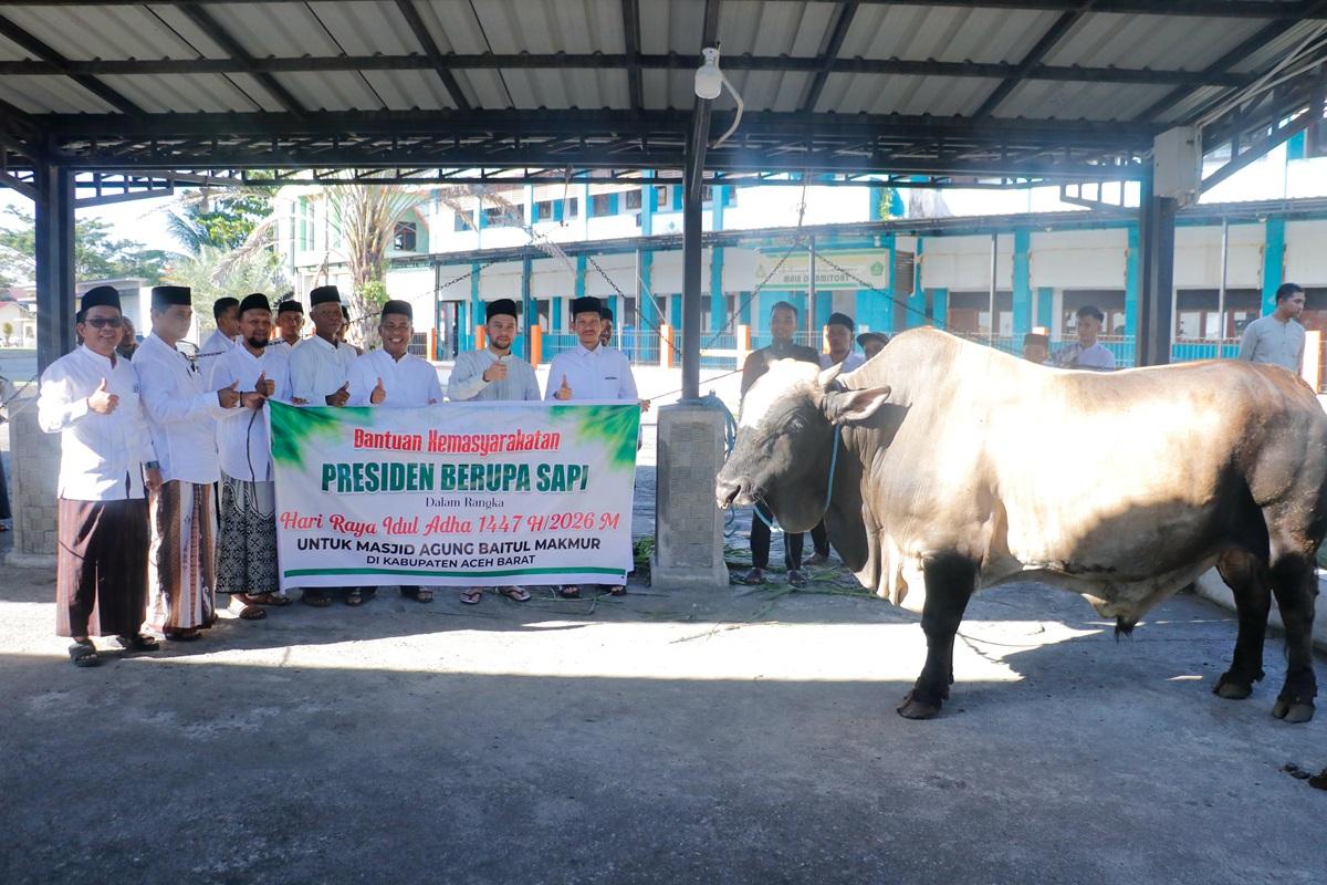 Bupati-Aceh-Barat-Tarmizi-SP-menerima-sapi-kurban-bantuan-Presiden-RI-Prabowo-Subianto.jpg