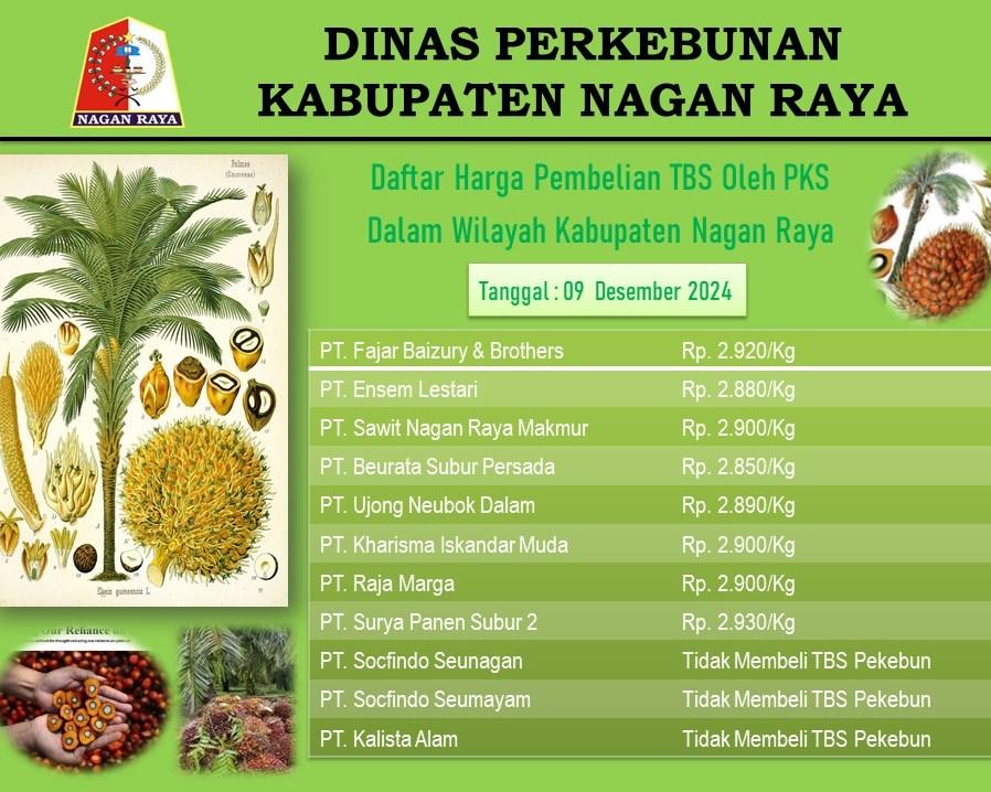 Dok-Disbun-Update-harga-TBS-kelapa-sawit-ditampung-PMKS-di-Nagan-Raua-per-data-9-Desember-2024.jpg