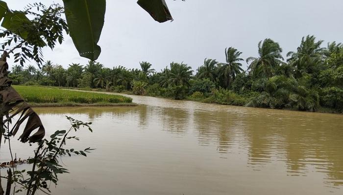 Hamparan-sawah-di-Payarahat-Aceh-Tamiang-terendam-banjir.jpg