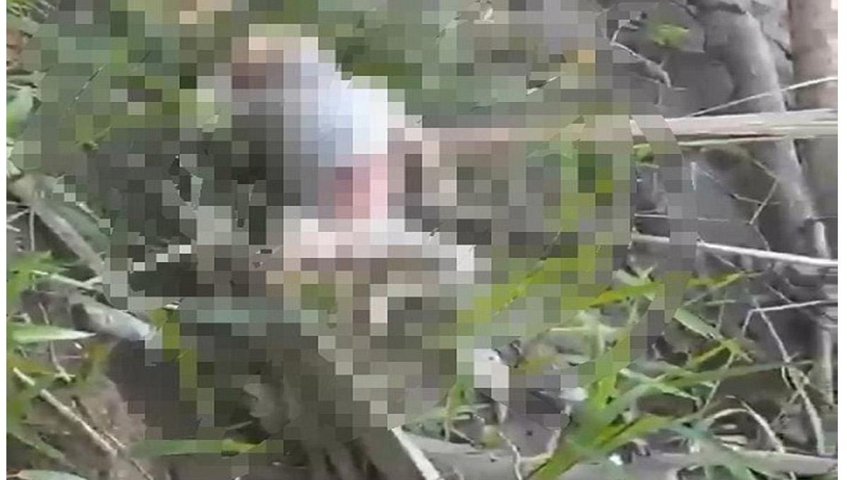 Geger! Warga Simpang Ulim Temukan Jasad Bayi di Pinggir Sungai Arakundoe - Serambinews.com