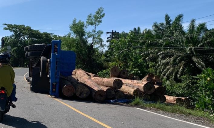 Mencengangkan! 1 Orang Warga Desa di Nagan Raya Dapat Izin Tebang 200 Ha Hutan, Kini Dibekukan KLHK