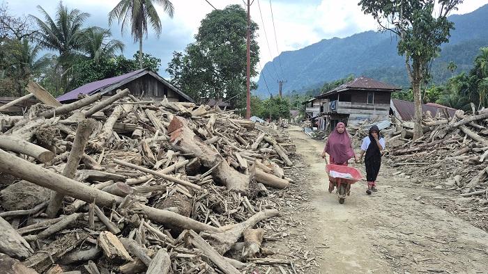 Kayu-yang-dibawa-air-besar-atau-banjir-bandang-kini-masih-menutupi-daratan-daerah-permukiman.jpg