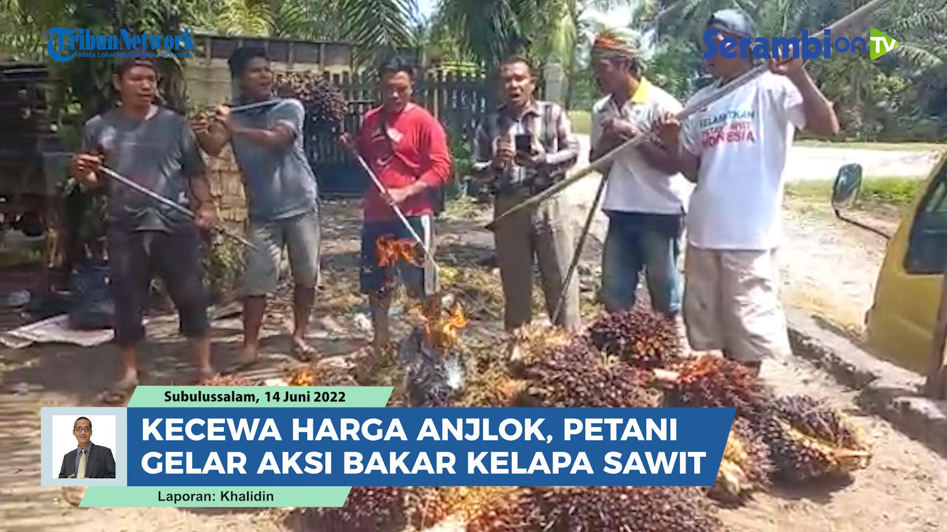 Kecewa-Harga-Anjlok-Petani-Gelar-Aksi-Bakar-TBS-Kelapa-Sawit-di-Subulussalam.jpg