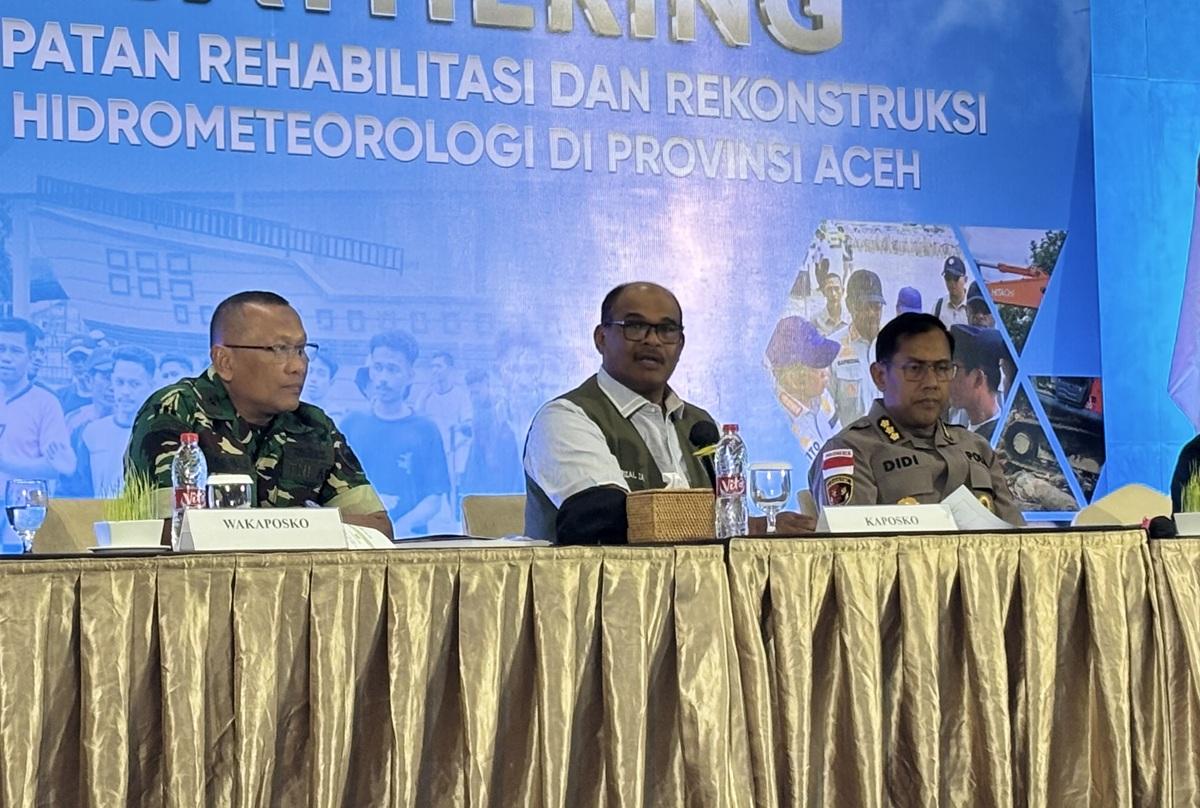 Pemulihan Sawah Pascabencana di Aceh Baru Berjalan 2 Persen, Target Capai 42 Ribu Hektare