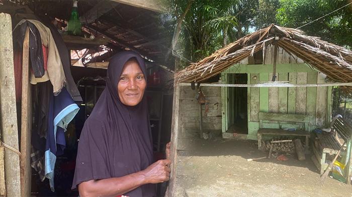 Kondisi-rumah-Cut-Indek-di-Desa-Alue-Perman.jpg