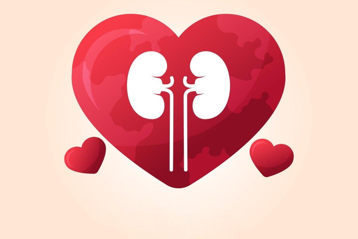 Lindungi Ginjalmu, Ini Daftar Makanan Menjaga Fungsi Ginjal Tetap Optimal