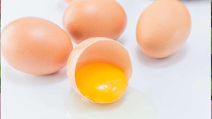 Manfaat-konsumsi-kuning-telur-setiap-hari.jpg