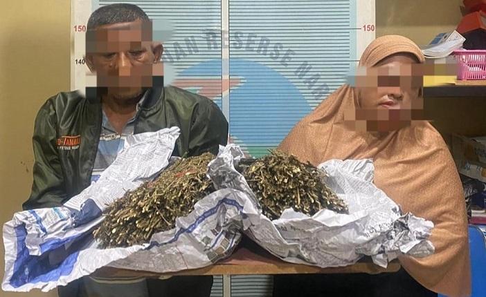 Satresnarkoba Polres Pidie Jaya Bekuk Enam Pelaku Narkoba Jaringan Lintas Daerah, Satu Masuk DPO