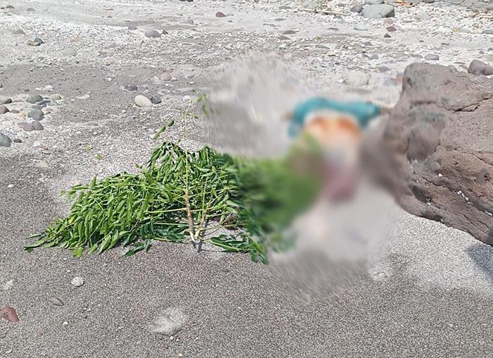Penemuan-sesosok-mayat-yang-diduga-seorang-perempuan-di-kawasan-Pantai-sabang.jpg