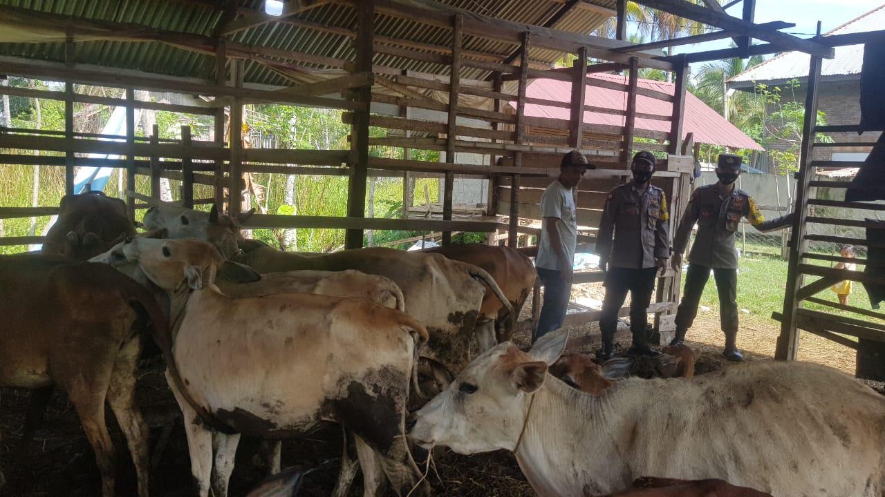 Polda Aceh Masih Intensifkan Pencegahan dan Penanganan PMK