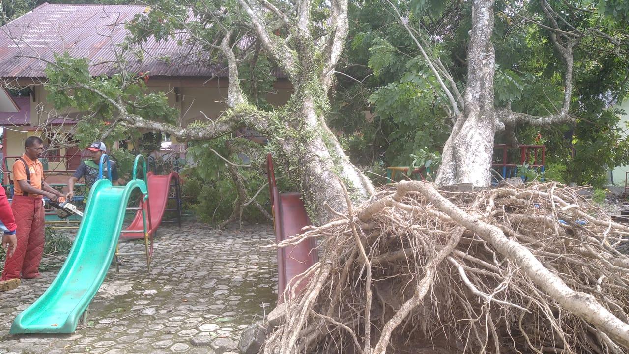 Petugas-melakukan-upaya-pembersihan-terhadap-lokasi-pohon-yang-tumbang.jpg