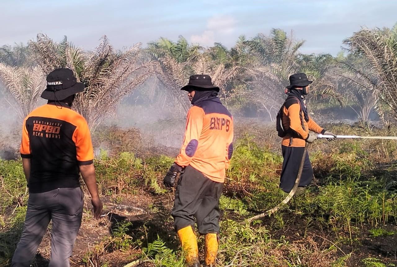 Karhutla di Aceh Barat Berlanjut, Belasan Hektare Lahan Terbakar di Tiga Kecamatan