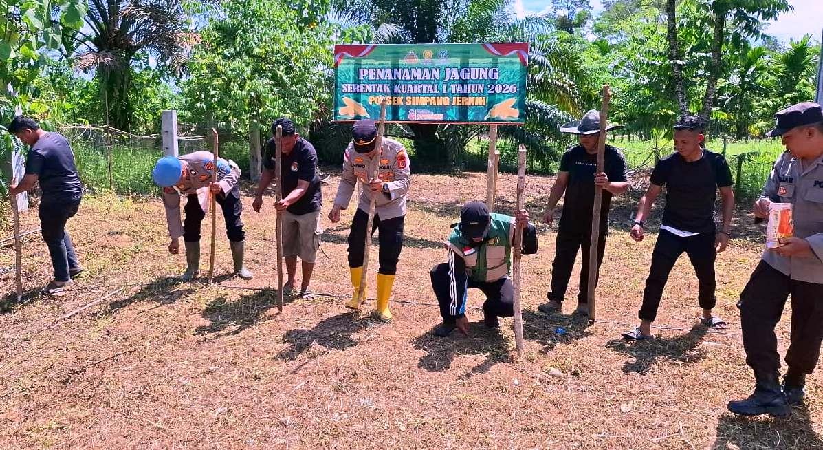 Polsek-Simpang-Jernih-Mulai-Tanam-Jagung-Kuartal-I-Tahun-2026.jpg