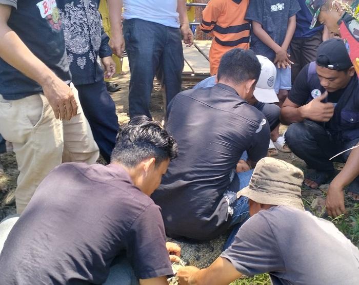 Proses-evakuasi-buaya-yang-tersangkut-jaring-nelayan.jpg