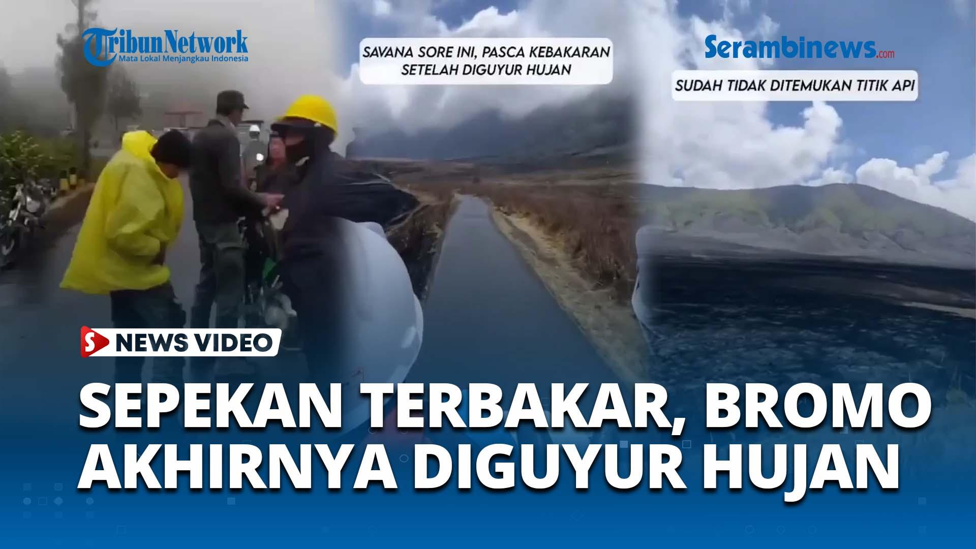 VIDEO Savana Bromo Akhirnya Diguyur Hujan Pasca Kebakaran Akibat Flare, Relawan Pemadam Bersyukur