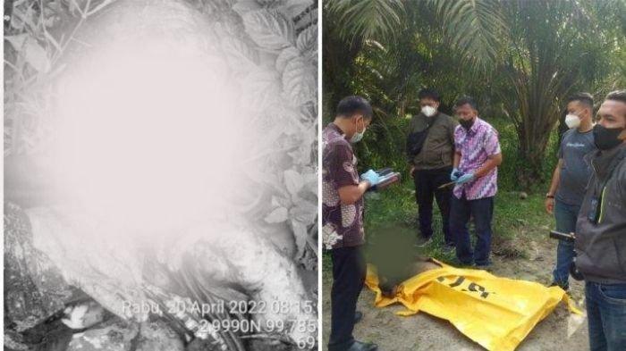 Sosok Mayat Pria yang Dibakar dan Leher Digorok di Tanjungbalai Terungkap, Keluarga Terima Jenazah