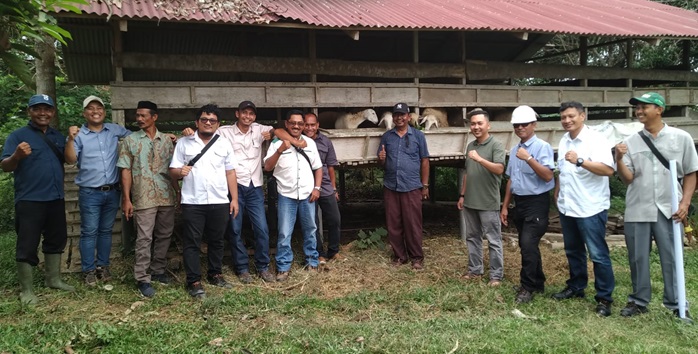 Socfindo-bantu-ternak-kambing.jpg