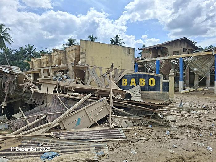 Perambahan Hutan di TNGL Blok Sikundur sejak 2018, Dialihkan Menjadi Perkebunan Kelapa Sawit