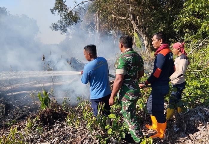 Karhutla Kepung Tiga Kecamatan di Aceh Barat, BPBD Berjibaku Padamkan Api