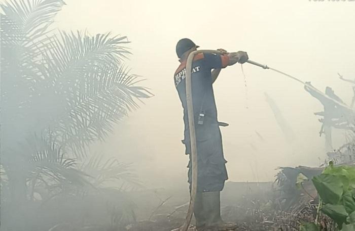 Tim-pemadam-Karhutla-dari-BPBD-Aceh-Barat-melanjutkan-upaya-pemadaman.jpg
