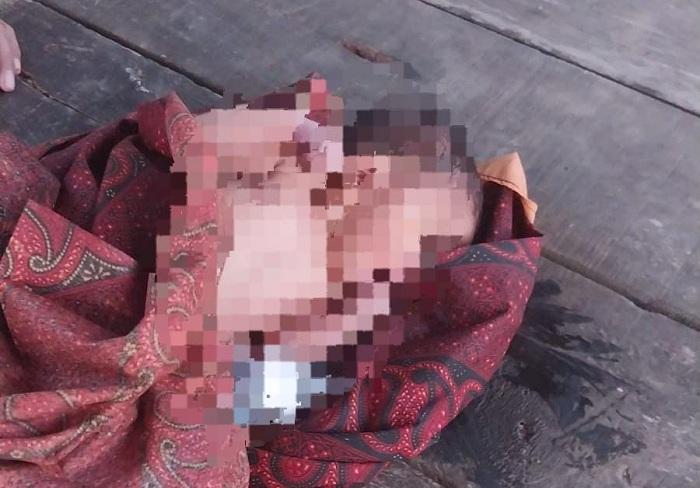 Geger! Pulang Shalat Subuh, Guru SD Temukan Bayi di Semak-Semak Aceh Utara