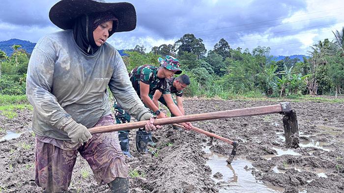 Baru Tiba di Pidie, Anggota Yonif TP-857/GG Langsung Bantu Petani Gampong Mane, Danton di Depan