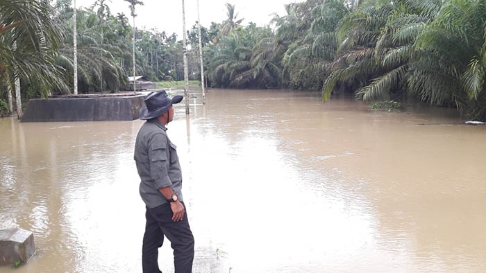 Aceh Utara Banjir Lagi, Warga Mulai Mengungsi