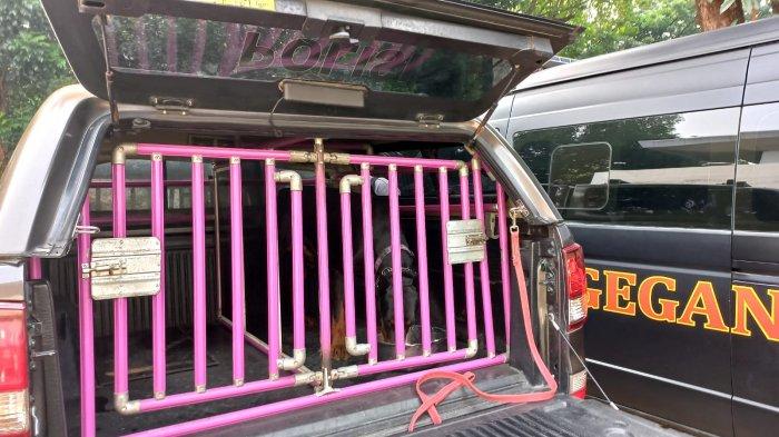 PSS Sleman vs Persiraja, Dijaga Ketat Polisi Hingga Bawa Anjing Pengendali Massa