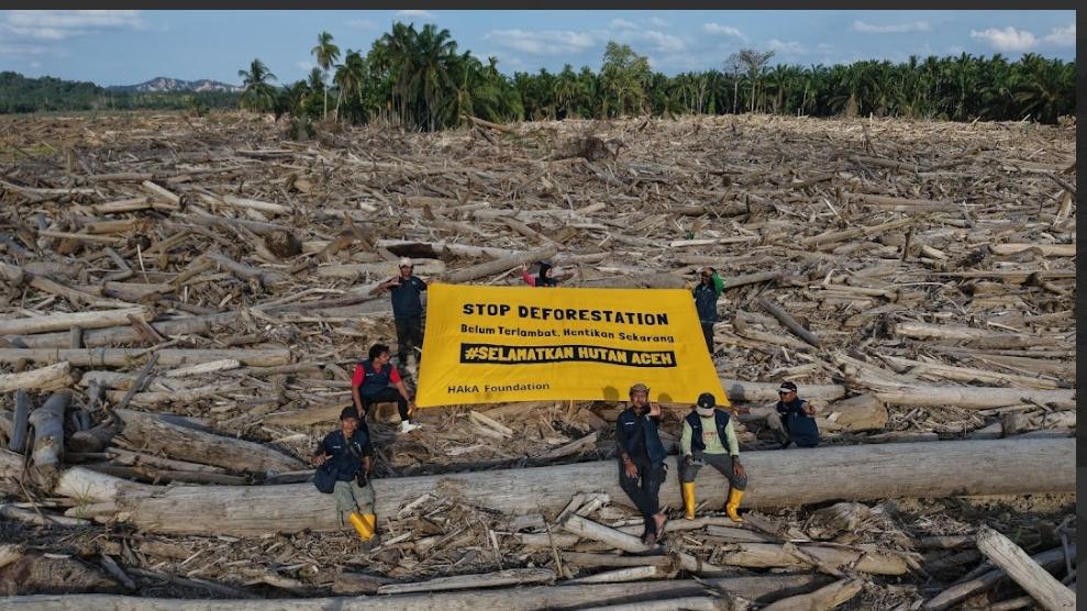 banjir-aceh-hentikan-perusakan-hutan.jpg