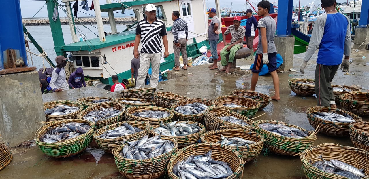 Banjir, Tongkol di PPS Lampulo Banda Aceh Rp 5.000/Kg, Bahkan Harus Dibuang karena Tak Ada Pabrik