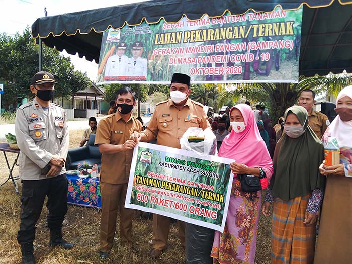 Pandemi Corona, Kaum Ibu Aceh Singkil Manfaatkan Lahan Pekarangan