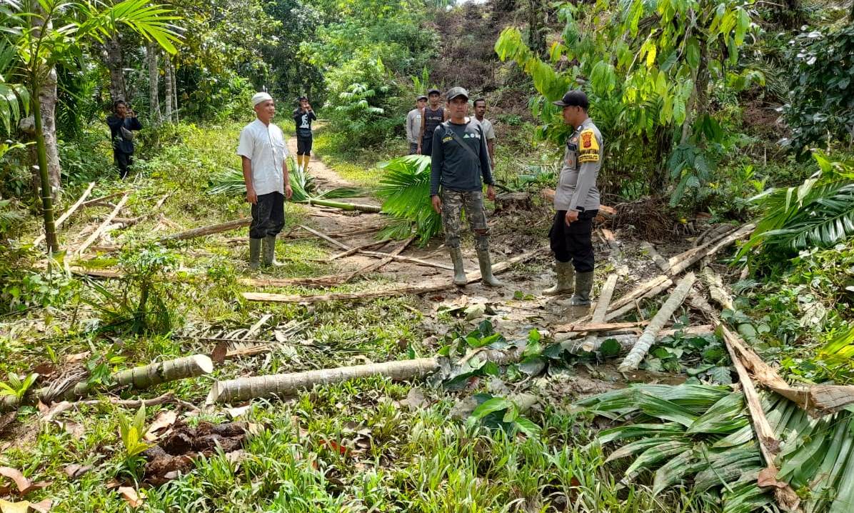 Kawanan Gajah Obrak-Abrik Kebun Warga - engusiran-kawanan-gajah-liar-yang-masuk-dan-merusak-tanaman-warga.jpg